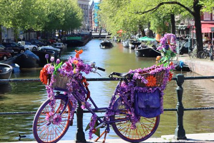 Fietstocht Amsterdam pollaroid 3.jpg