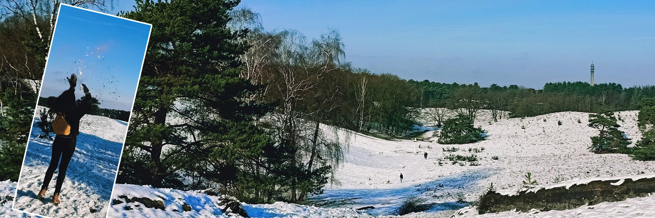 Limburg Regio Winter.jpg