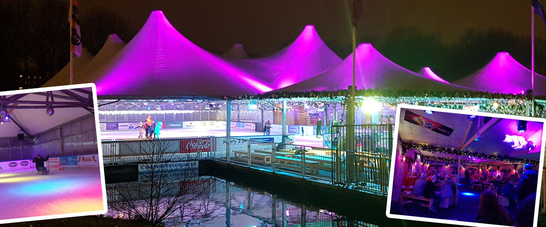 iceparadise location cat 1.jpg